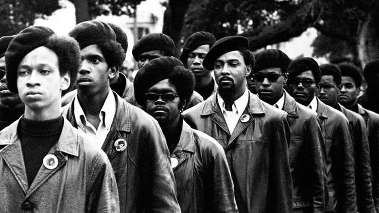 Black Panthers image
