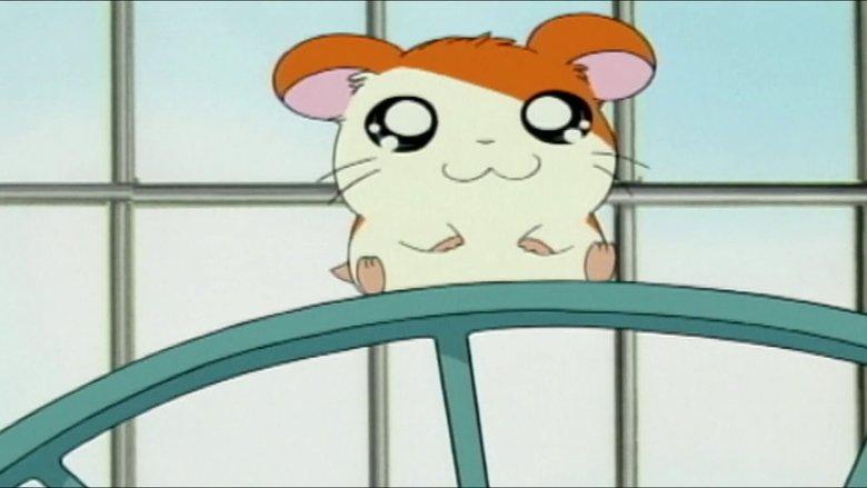 Hamtaro image