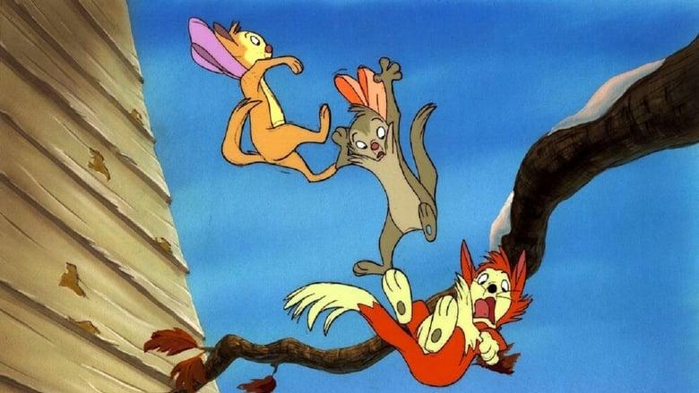 Banjo the Woodpile Cat image