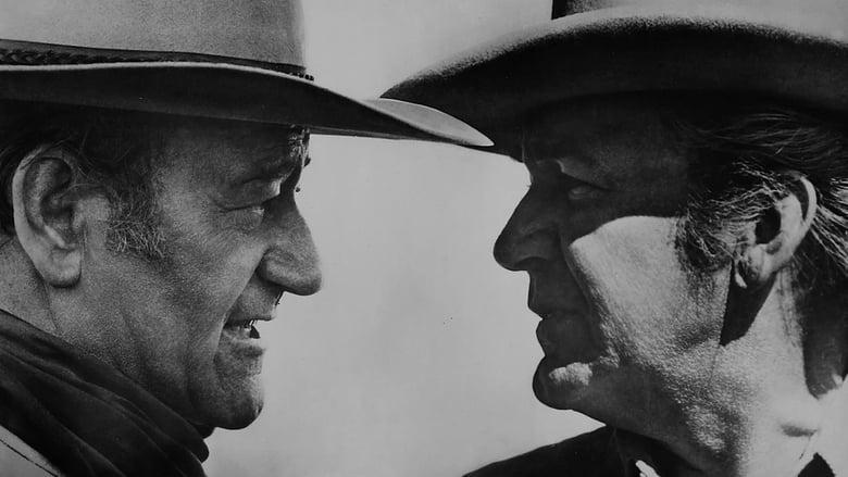 Chisum image