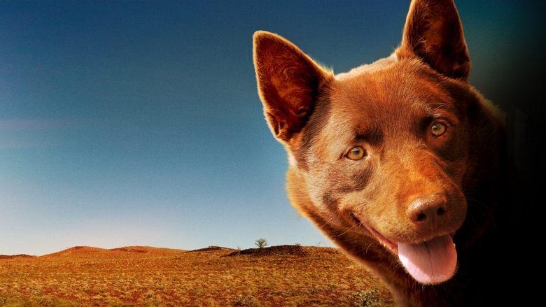 Red Dog image