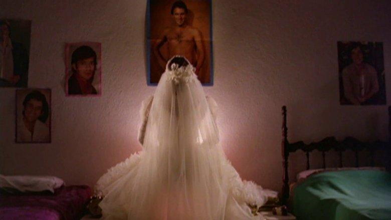 The Woman Who Invented Love image