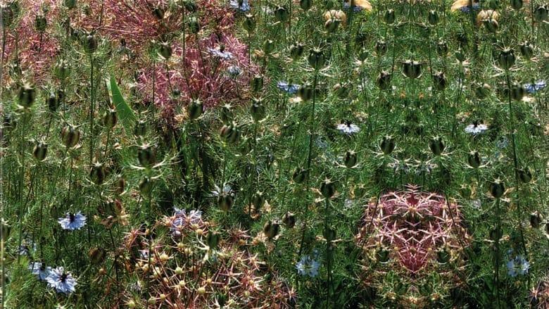 Gardens of the World with Audrey Hepburn image