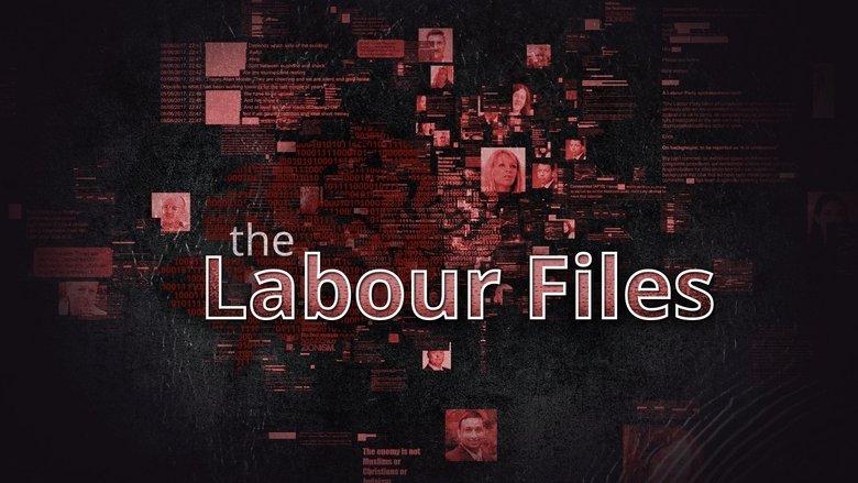 The Labour Files image