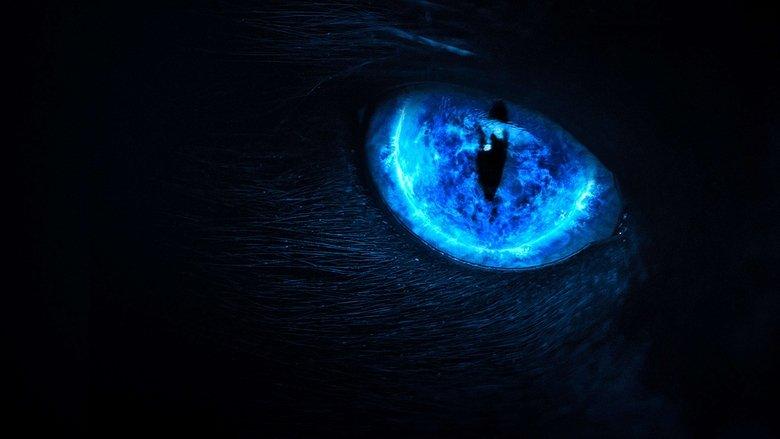 Eli Roth Presents: My Possessed Pet image
