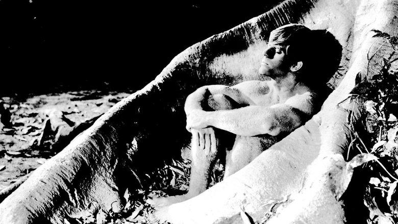 The Sin of Adam and Eve image