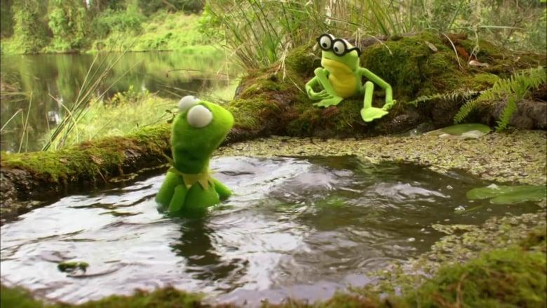 Kermit's Swamp Years image