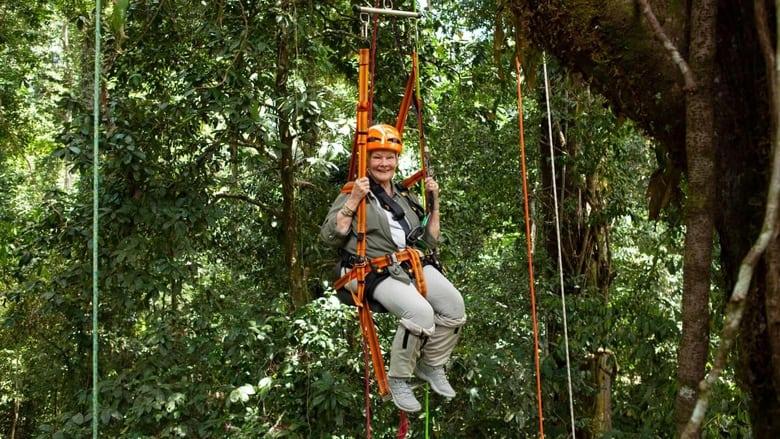 Judi Dench's Wild Borneo Adventure image