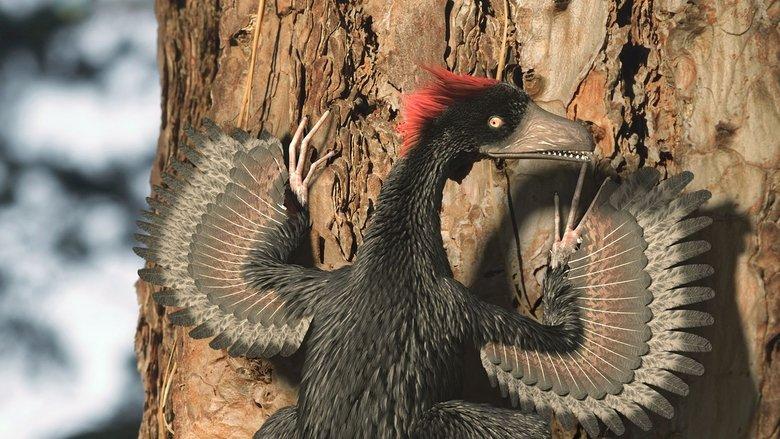 A New Prehistory image