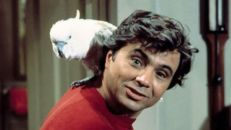 Baretta image