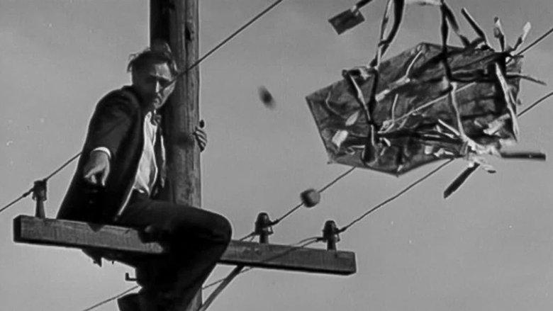 Fly My Kite image