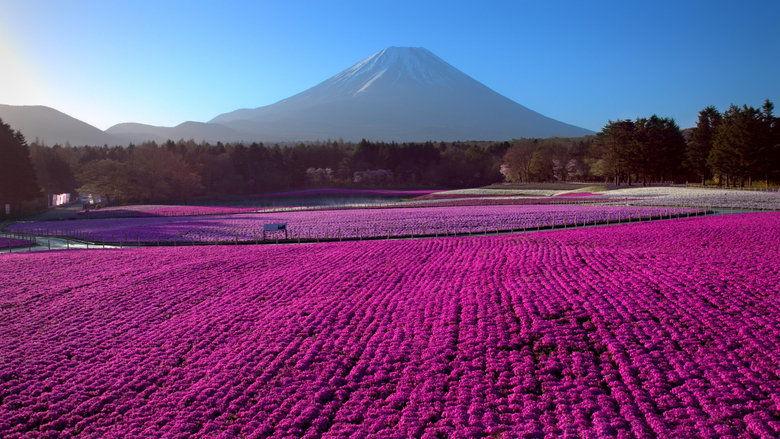 Japan from Above image