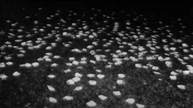 Night of the Living Bread image