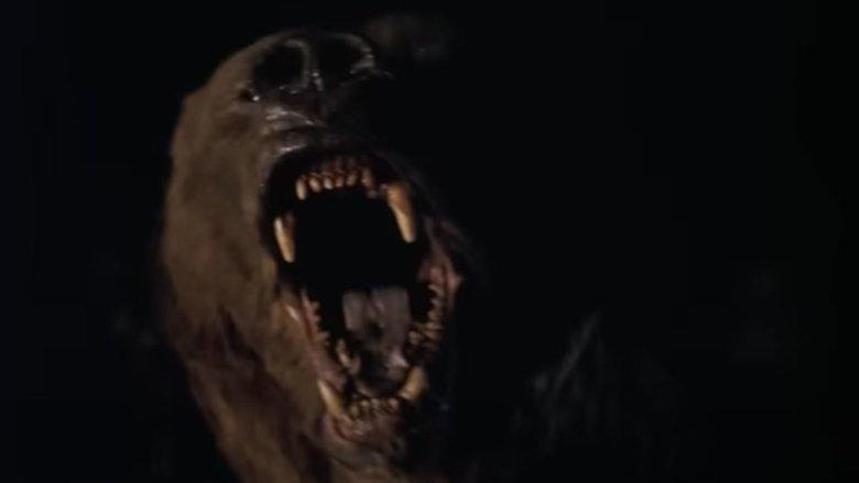 Wild Grizzly image