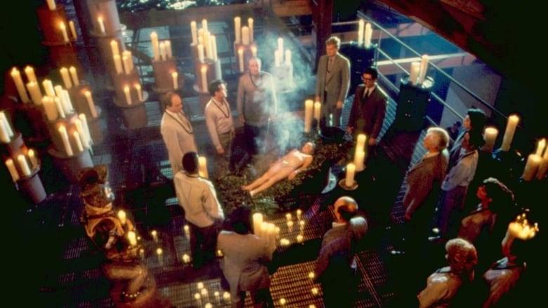 The Believers image