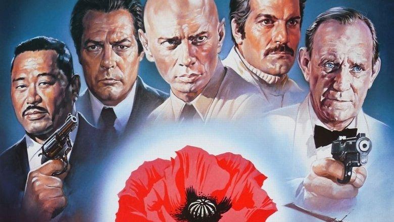 The Poppy Is Also a Flower image