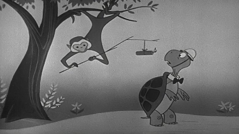 Duck and Cover image