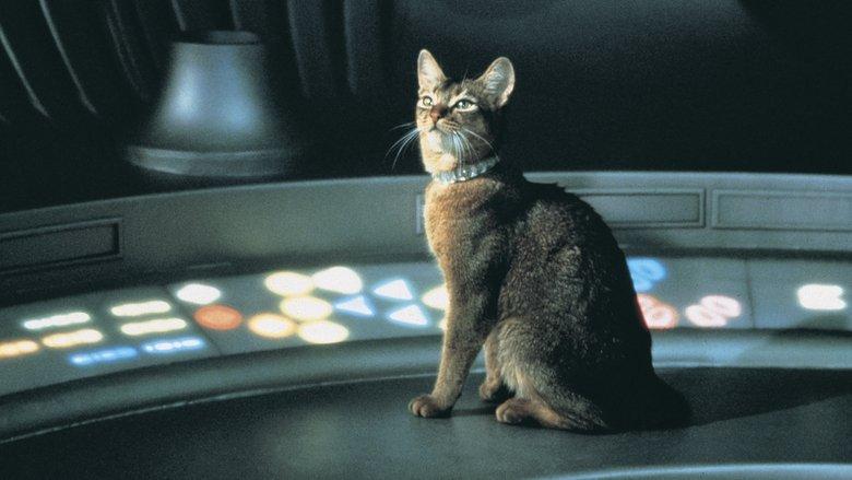 The Cat from Outer Space image