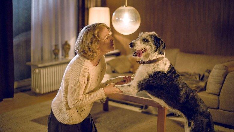Der Hund begraben image