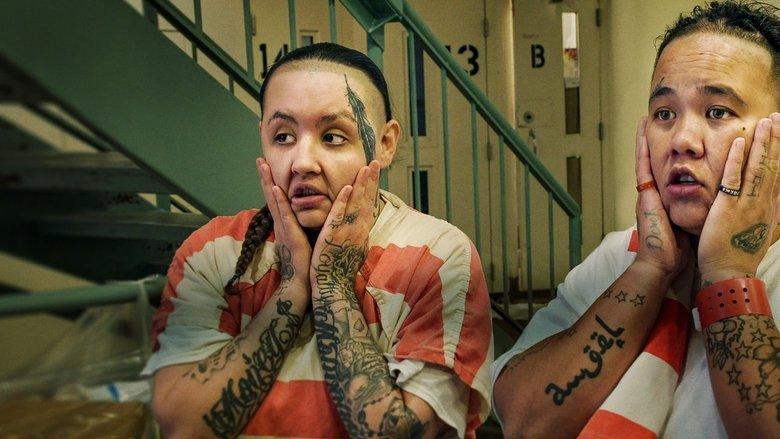 Jailbirds image