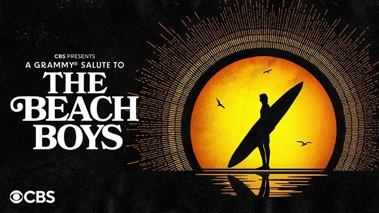 A Grammy Salute to The Beach Boys image