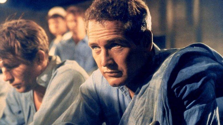 Paul Newman: The Restless image