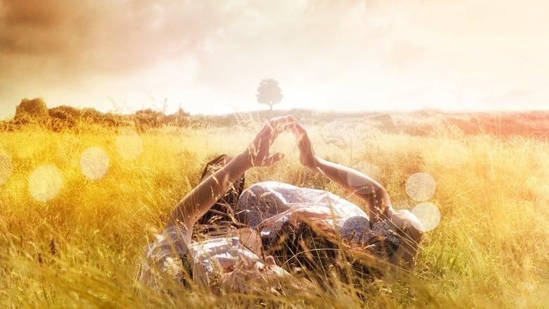 The History of Love image