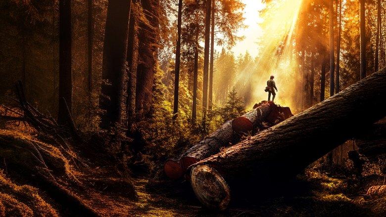 The Last Woodsmen image