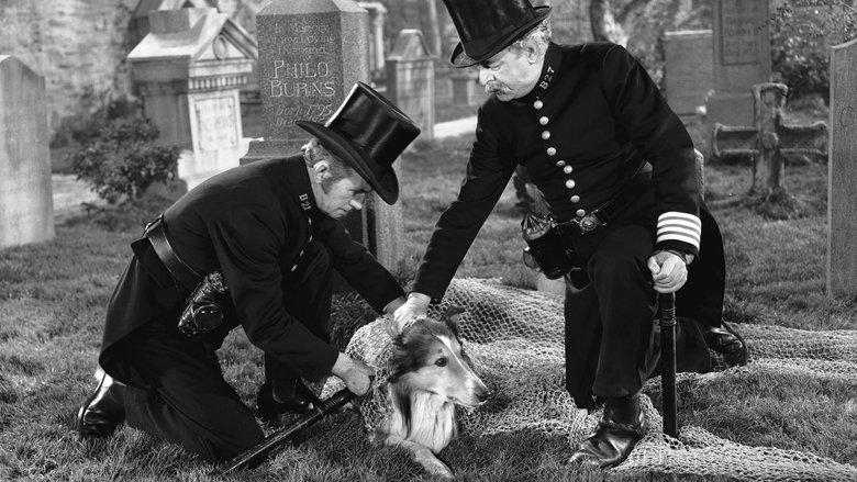 Challenge to Lassie image