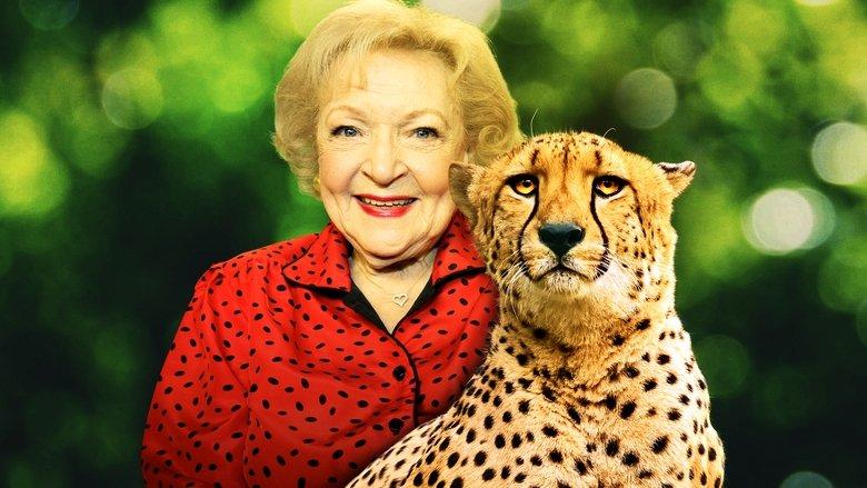 Betty White Goes Wild image
