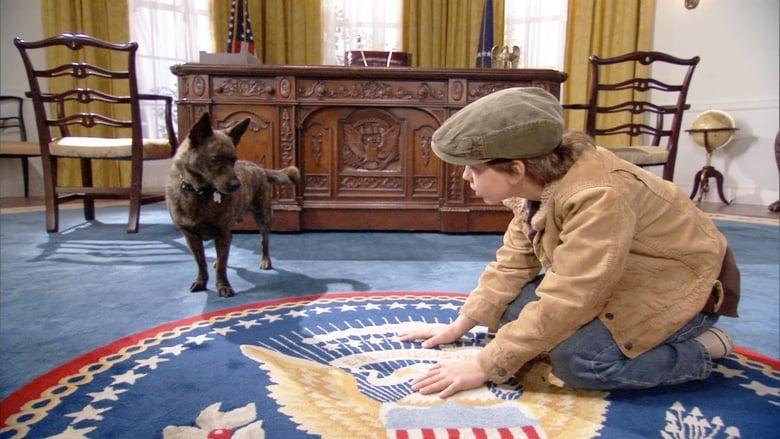 First Dog image