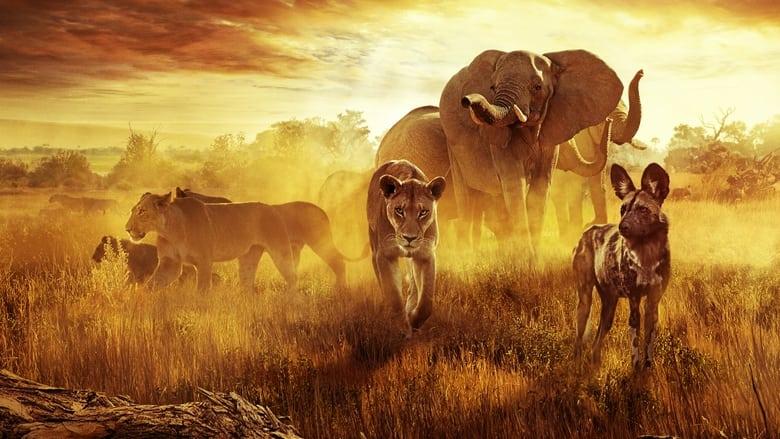 Surviving Paradise: A Family Tale image