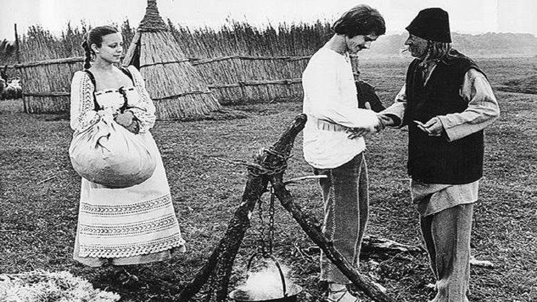 A csillagszemű image