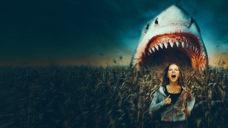 Sharks of the Corn image