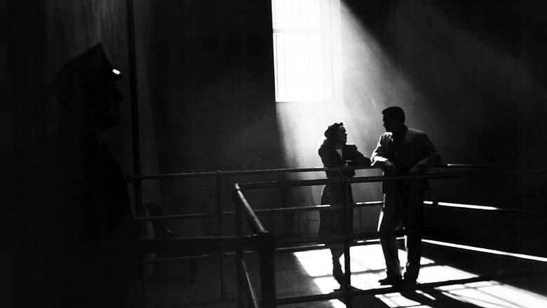 Phantom Lady image
