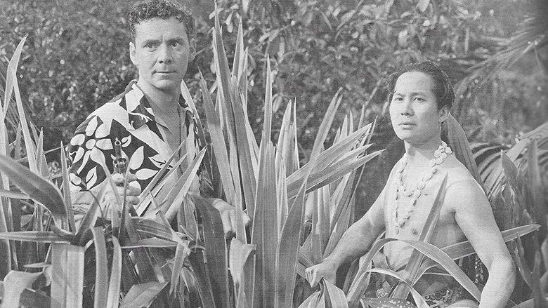 Lost City of the Jungle image