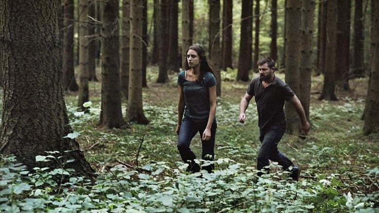 The Fall image