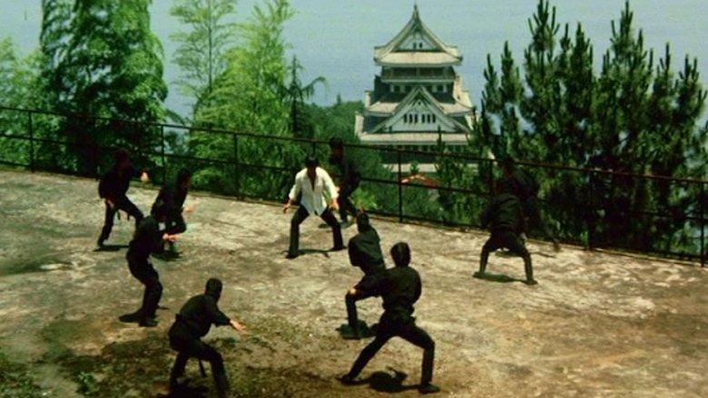 Which Is Stronger, Karate or the Tiger? image