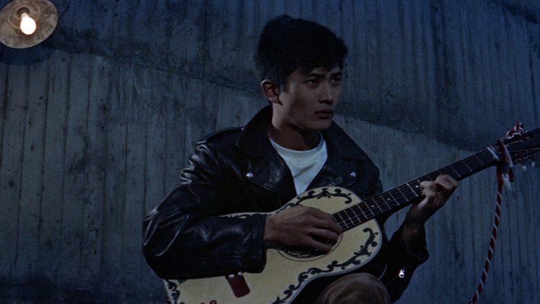 The Rambling Guitarist image