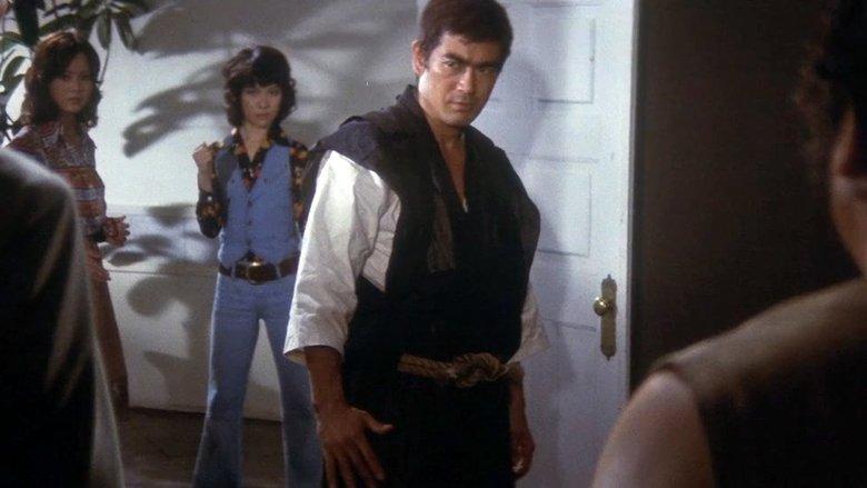 Sister Street Fighter image