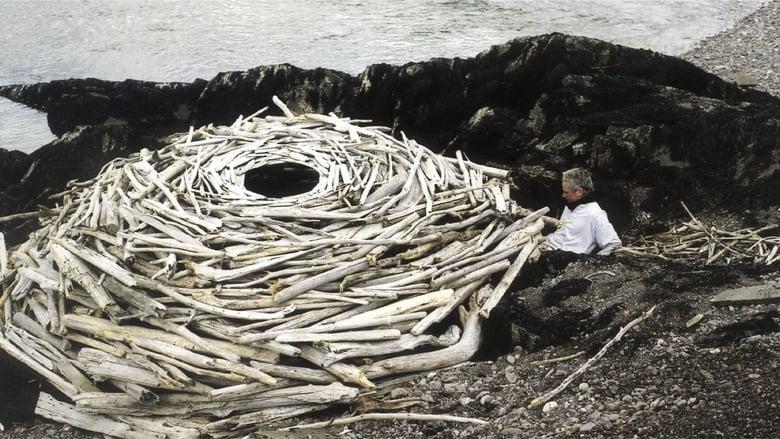 Rivers and Tides image