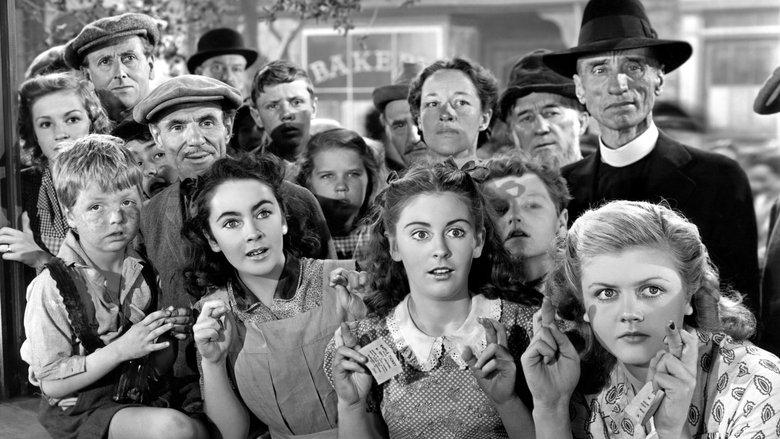 National Velvet image