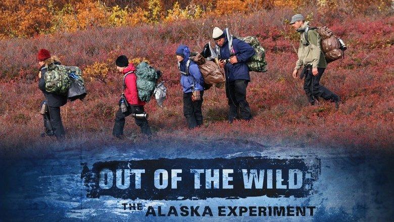 Out of the Wild image