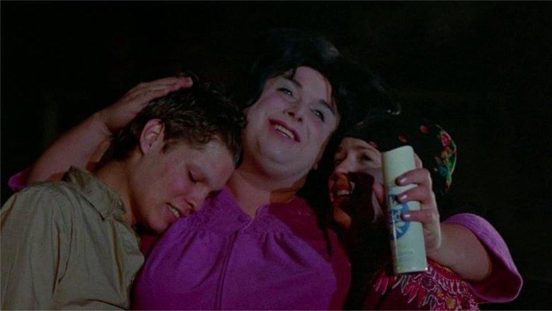 Polyester image