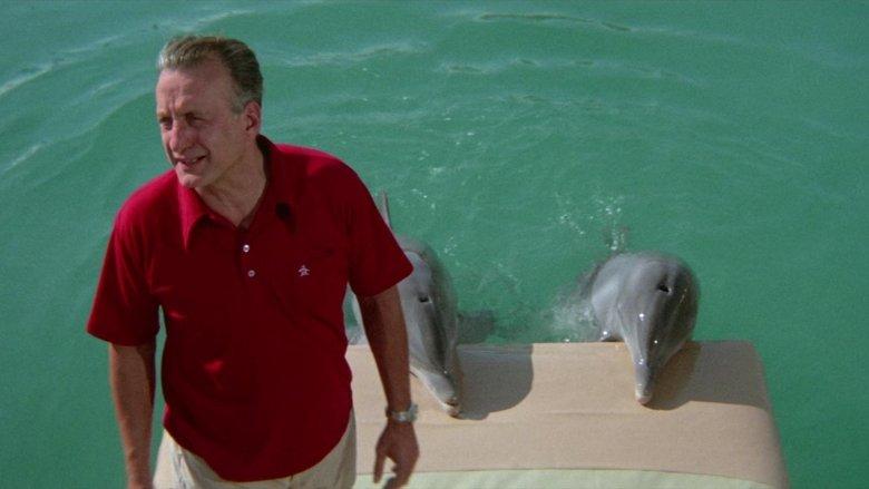 The Day of the Dolphin image