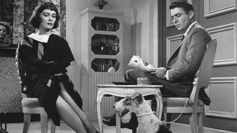 The Thin Man image
