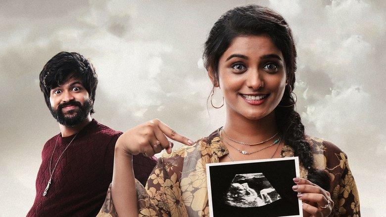 Mr. Pregnant image