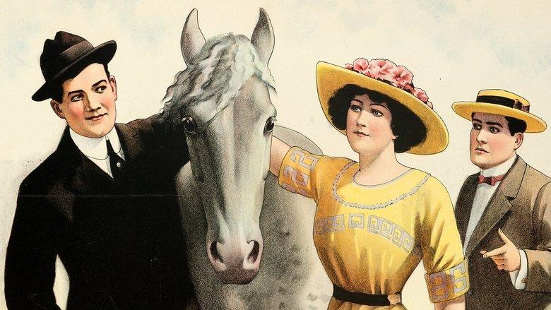 Arabia: The Equine Detective image