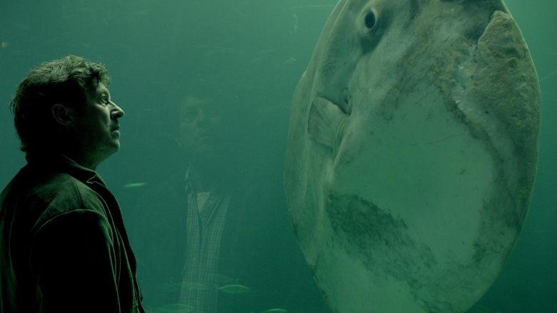 The Sunfish image