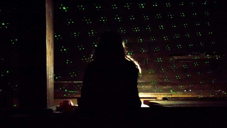 The Disco Shines image